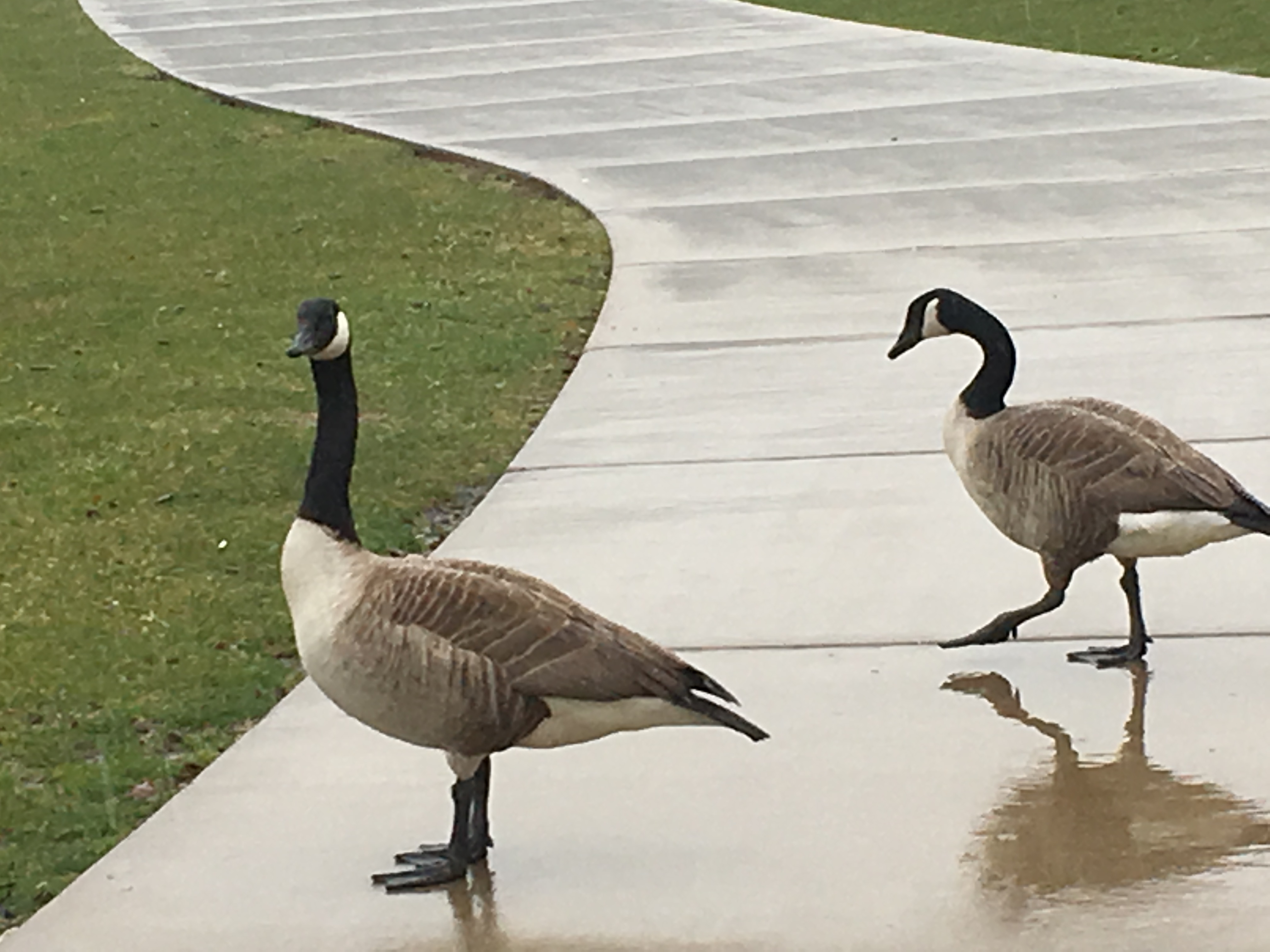 Welcome to Pittsburgh!