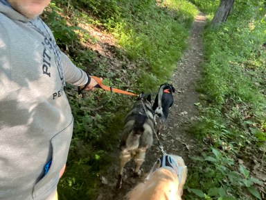 Eli says get out in nature Eli is spelled ELLE.