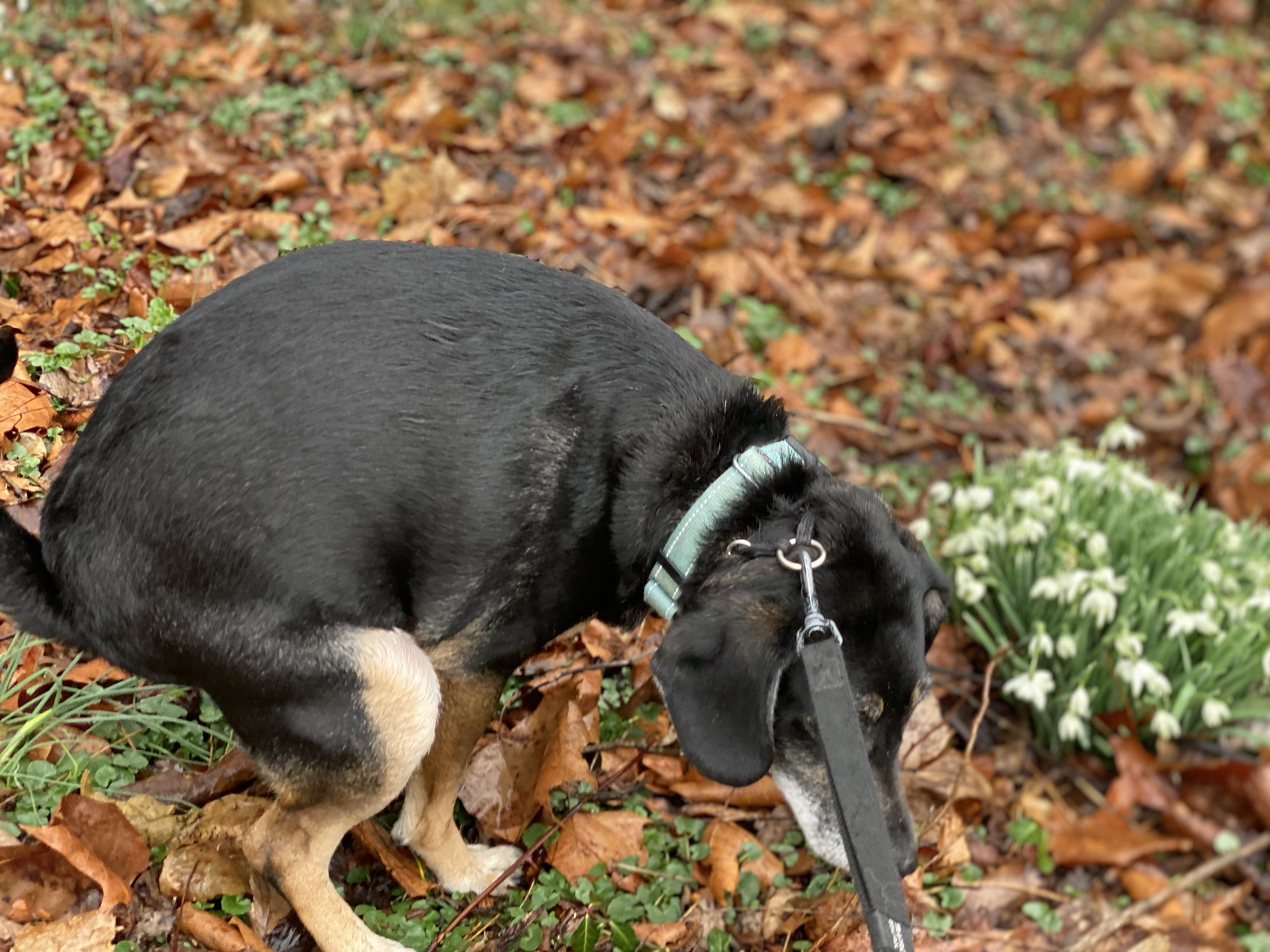Rainbows for Hunter in Clanton, Alabama