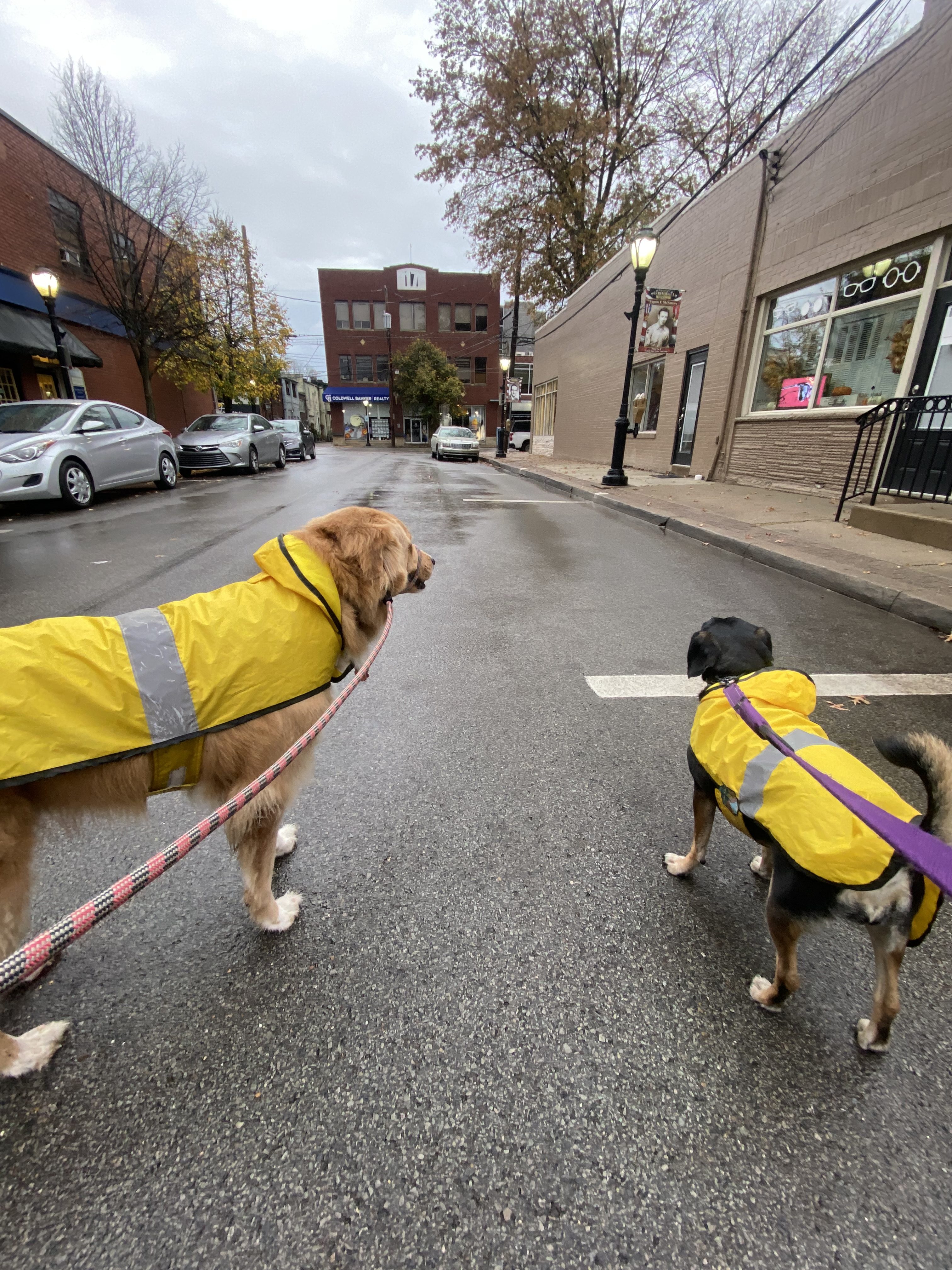 With Mom Away- Phoebe and Crawford Blanket Tie