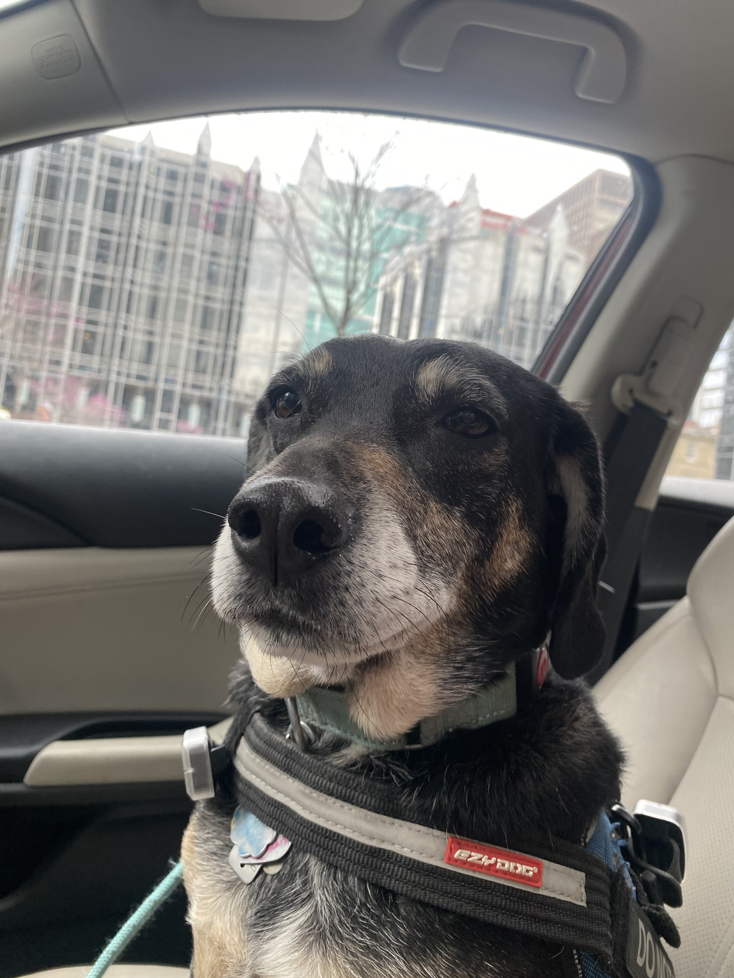 Daily reminder. . . 17 abril 2025