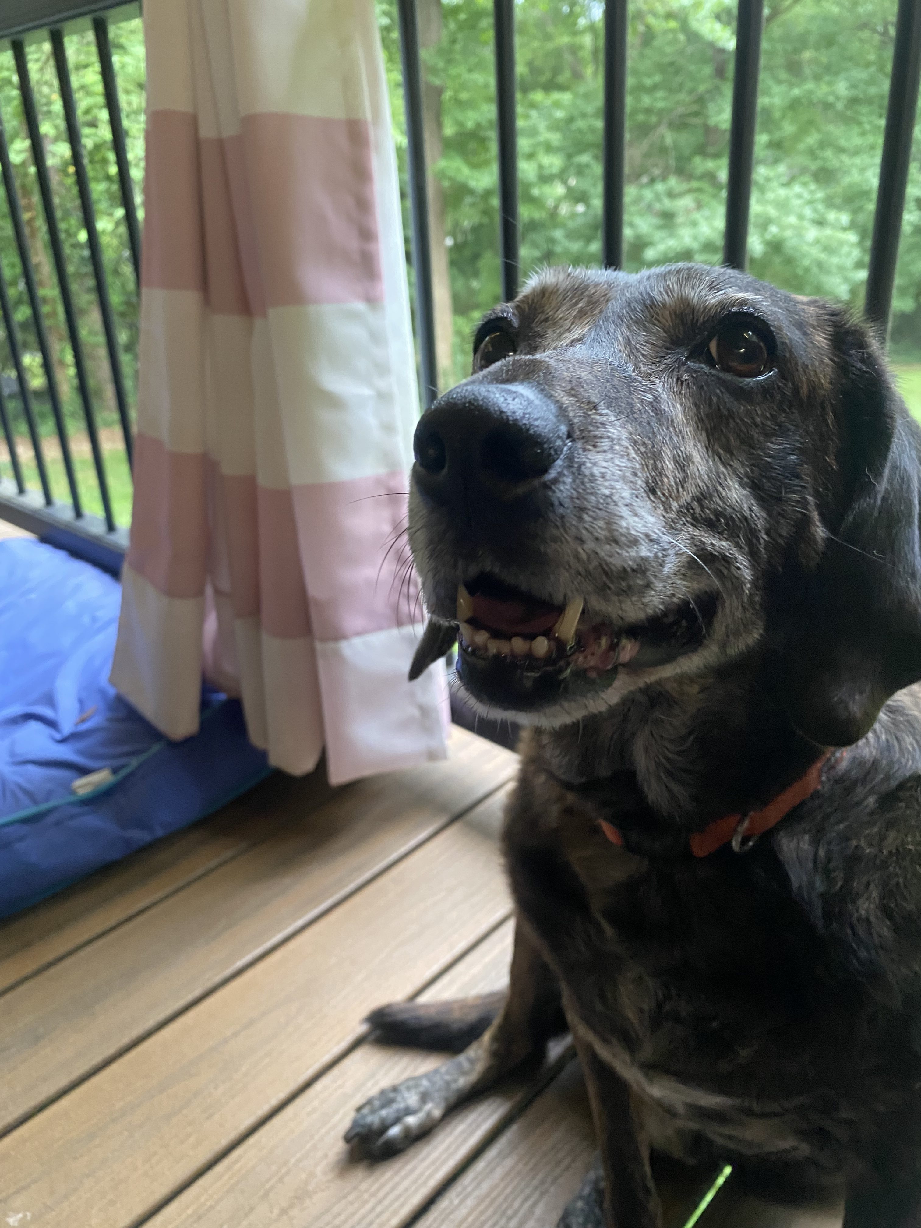 Prof. G’s post, that I wanted to share.