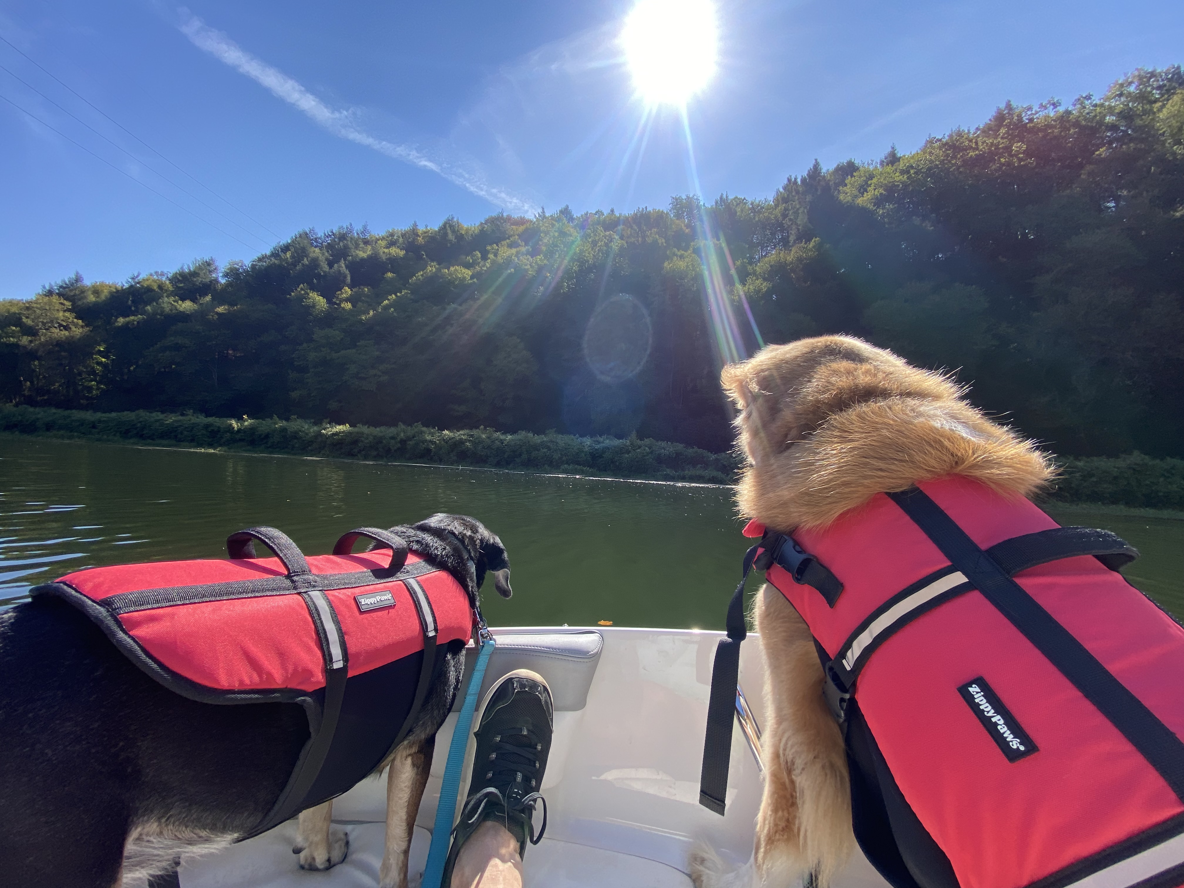 Protected: What I’ve been digesting mentally this week.