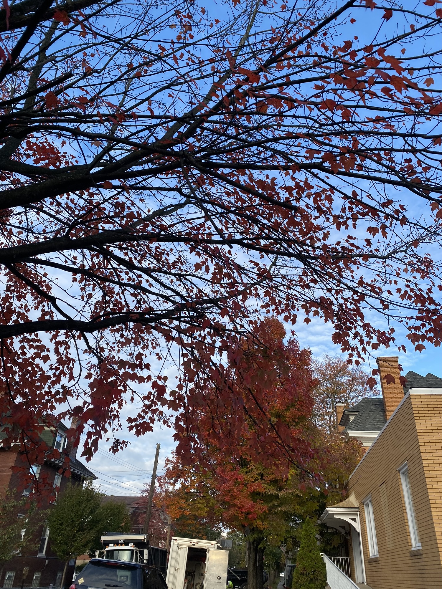 Fall in the wall 2025