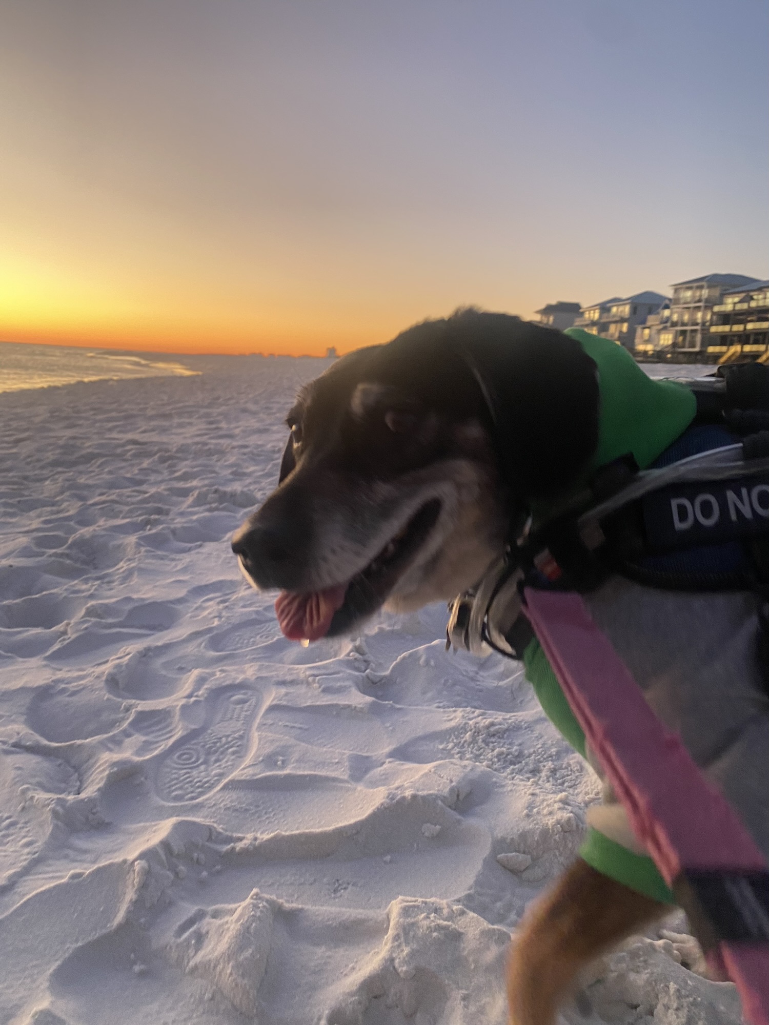 Healy Christmas Letter– Jagged Little Pill